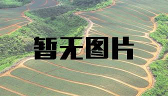 奶業(yè)“十三五”規(guī)劃發(fā)布 奶源自給率將達70%